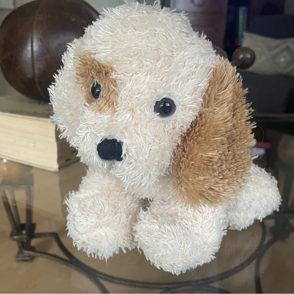 Vintage spotted eye and opposite floppy ear tan and cream puppy 🐶